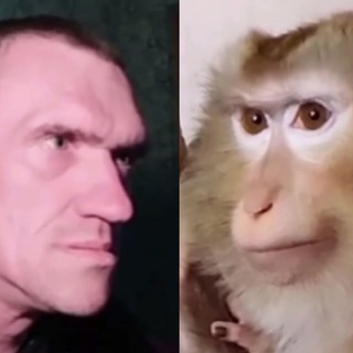 Telegram profile photo for Это надо чувствовать