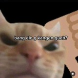 Telegram profile photo for subs ch baru @apricitylagom