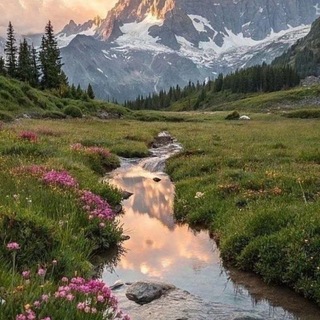 Telegram profile photo for Пᴩиᴩᴏднᴀя ʍᴀᴄᴛᴇᴩᴄᴋᴀя 🌿