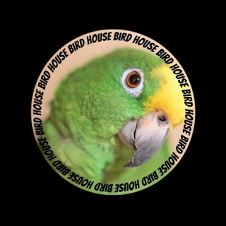 Telegram profile photo for Bird comfort house