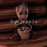 Telegram profile photo for 𝑺𝒒𝒖𝒊𝒓𝒓𝒆𝒍𝒔🐿