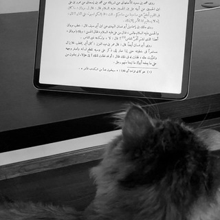 Telegram profile photo for دفتر أبو إسراء.