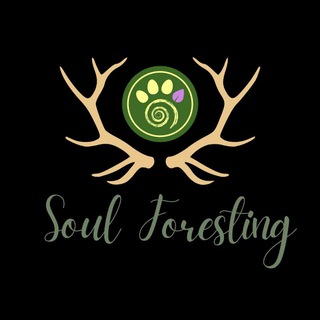 Telegram profile photo for La Radura di Soul Foresting 🌿