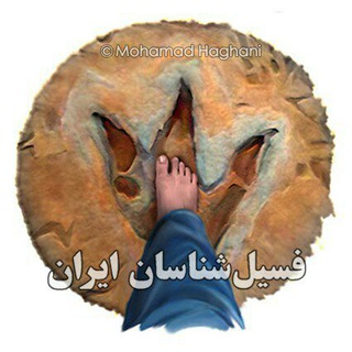 Telegram profile photo for کانال فسیل شناسان ایران