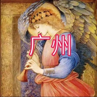 Telegram profile photo for 广州探雷(中转站)