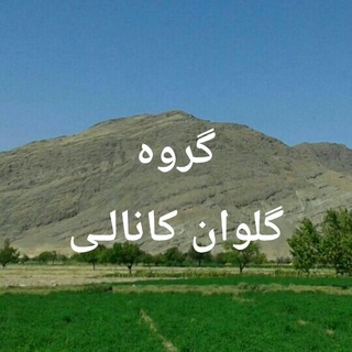 Telegram profile photo for گروه گلوان کانالی