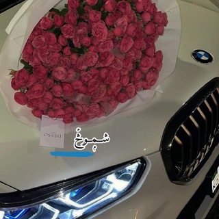 Telegram profile photo for شــمۭــۄڅۡ 🇱🇾
