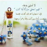 Telegram profile photo for أ. صفية الرميحي