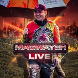 Telegram profile photo for Хроники Квадроциклиста (Magwayer/Магваер)