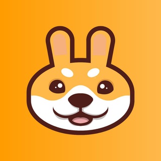 Telegram profile photo for SHIBCAKE NEWS