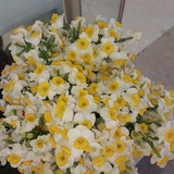 Telegram profile photo for Egzagereh| اگزجره