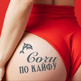 Telegram profile photo for Сочи по кайфу 🐬
