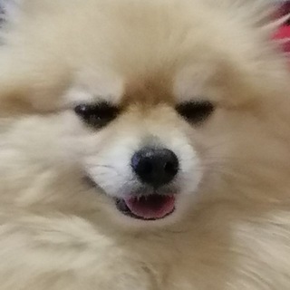 Telegram profile photo for ~{Радио Рэй вещает, рест по жизни}~