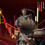 Telegram profile photo for Capybara_trade