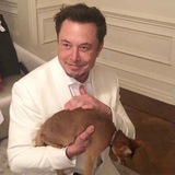 Telegram profile photo for Schrödinger