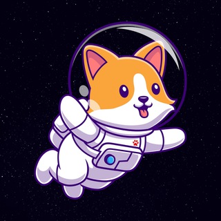 Telegram group profile photo for MoonPaw 🌖🐾