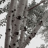 Telegram profile photo for Доки Моки