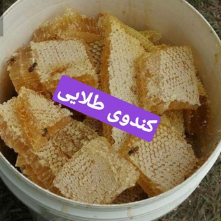 Telegram profile photo for 🐝🍯کندوی طلاایـــــی🍯🐝