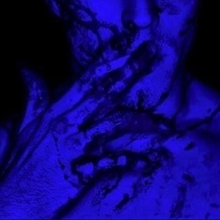 Telegram profile photo for Price Why Virt?