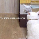 Telegram profile photo for Приключения горячей булочки🥐