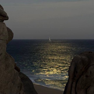 Telegram profile photo for تَقوىَ