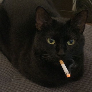 Telegram profile photo for Сибиреязвенный скотомогильник