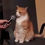 Telegram profile photo for Новостной КИТ