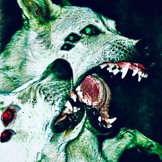 Telegram profile photo for Хил