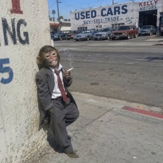 Telegram profile photo for boss