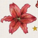Telegram profile photo for | رضایت + کد مرسوله |
