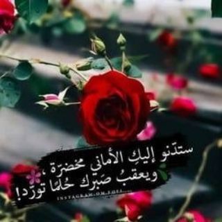 Telegram profile photo for الا بذكر الله تطمئن القلوب