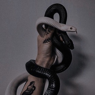 Telegram profile photo for snake club