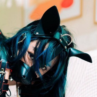 Telegram profile photo for SM社区
