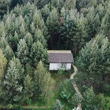 Telegram profile photo for Жизнь в сосновом Лесу