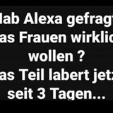 Telegram profile photo for Traugott Hier wird gelacht..😂😂😂😂🇩🇪