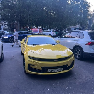 Telegram profile photo for Мигрант Тихо
