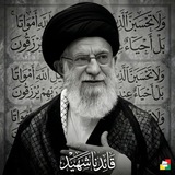 Telegram profile photo for أنصار الولاية والمرجعية