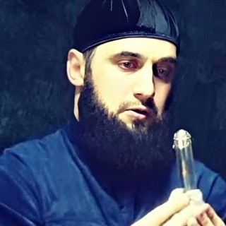 Telegram profile photo for shamil_shafi1iy