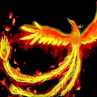 Telegram group profile photo for 离火云机场群组