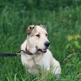 Telegram profile photo for В ᴦᴏᴄᴛях нᴀ Мᴀᴩᴄᴇ