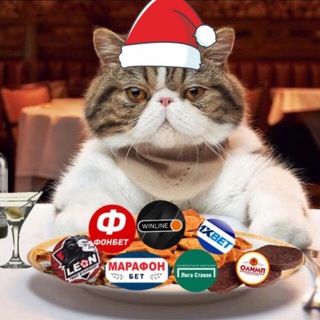 Telegram profile photo for Сытый Кот