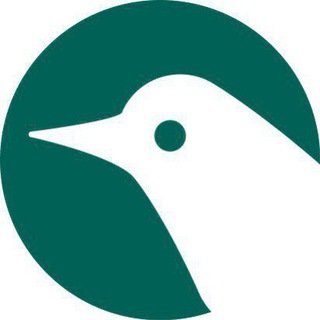 Telegram profile photo for Blackbird_Studio