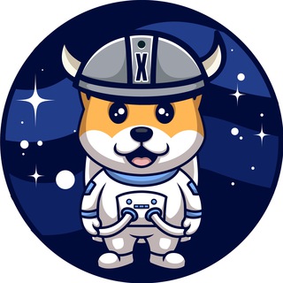 Telegram group profile photo for XFLOKI