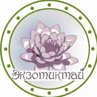 Telegram profile photo for Экзотиктай. Тропический рай 🌴