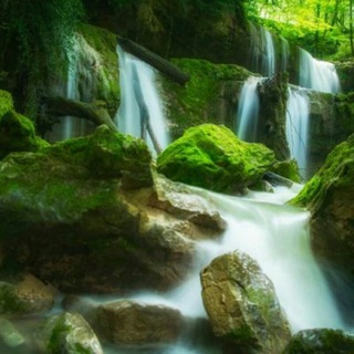 Telegram profile photo for نکته های زیبا برای زندگی