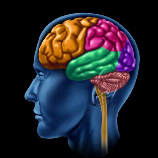 Telegram profile photo for فراتر از تصور