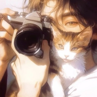 Telegram profile photo for Sherlock's Shelter 🐾
