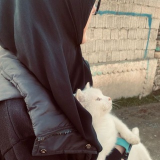 Telegram profile photo for من عف قلبه عن الحرام، رزقه الله جميل الحلال ♥️
