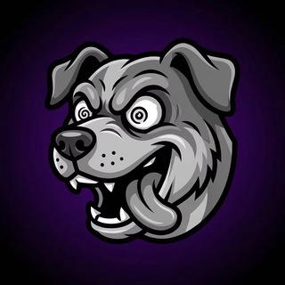 Telegram profile photo for Crazy Cases Chat 💬