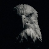 Telegram profile photo for دَجـم مَـاهِـر
